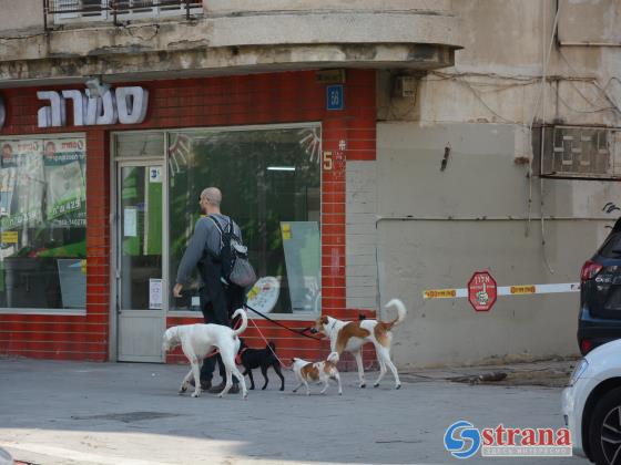 Еще один законопроект ультраортодоксов: повысить налог на владельцев собак в 70 раз