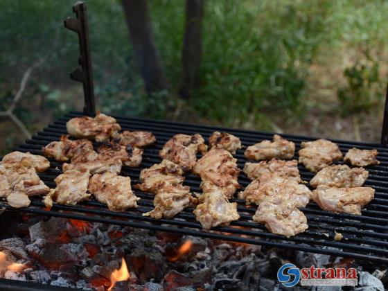 Приготовление мяса на мангале может быть опасно для здоровья