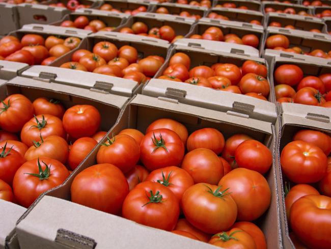 Минсельхоз поможет израильским фермерам увеличить поставки томатов на местный рынок