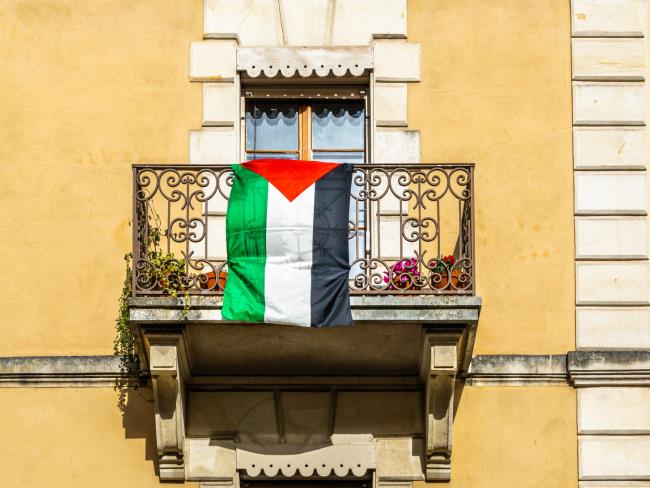 Ирландия и Испания заявили о признании государства Палестина
